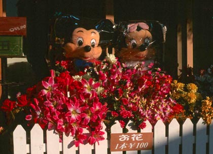 Mickey and Minnie under wraps, Kagoshima City