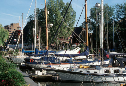 St. Katherine's yacht marina