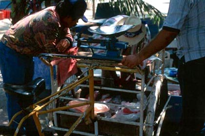 Fish vendor, Zihuatanejo